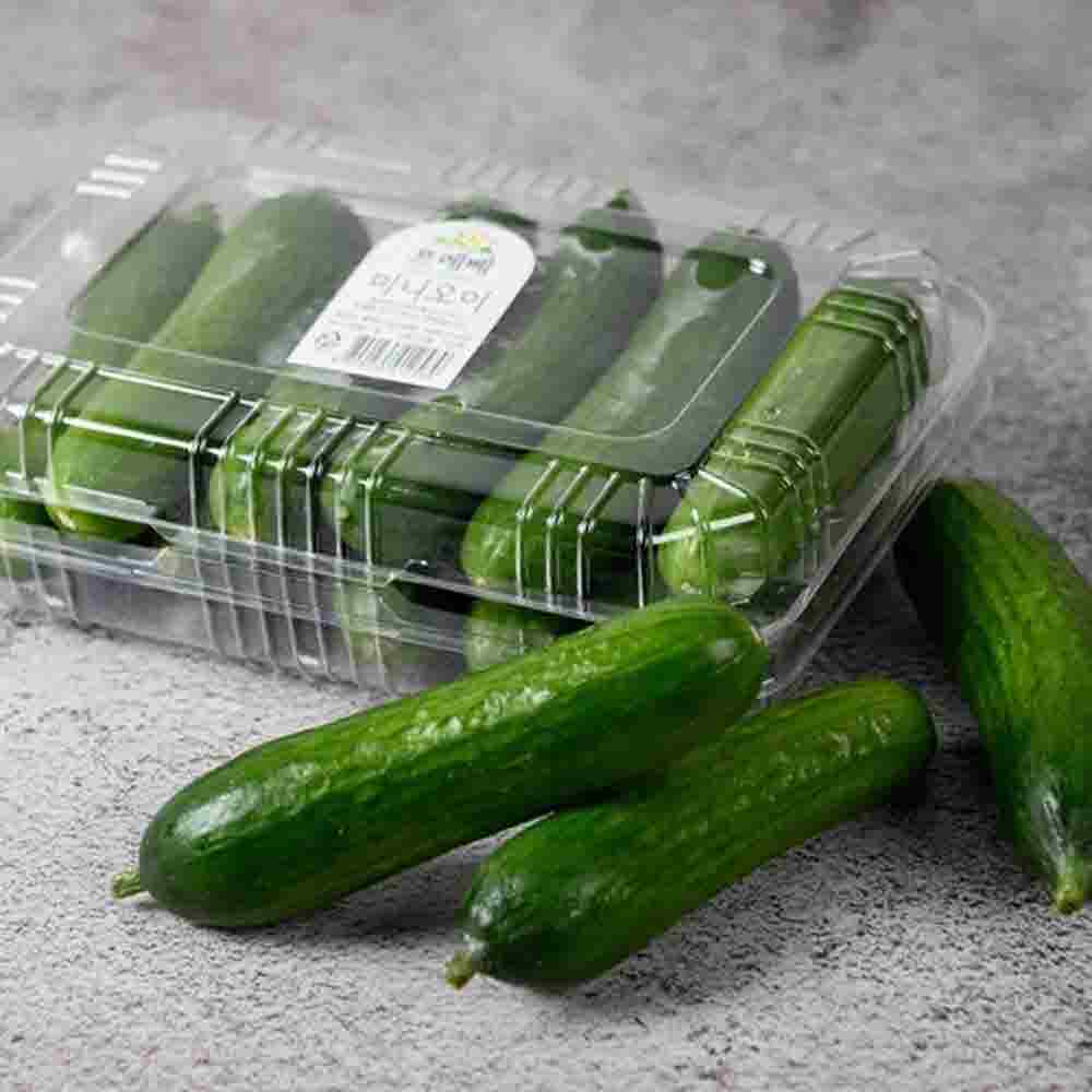 프레베 미니오이(10입)