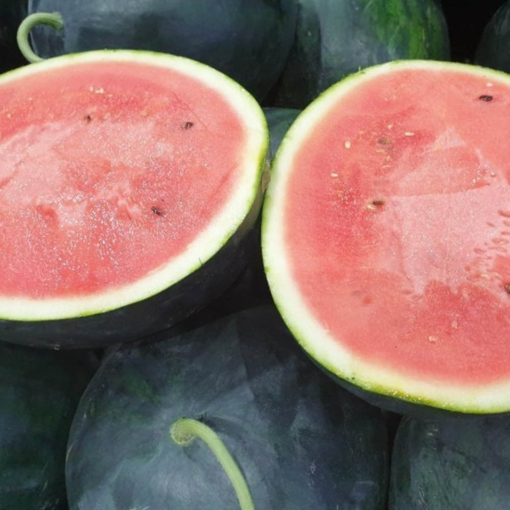 [에어셀포장] 하우스 흑수박 4~5kg