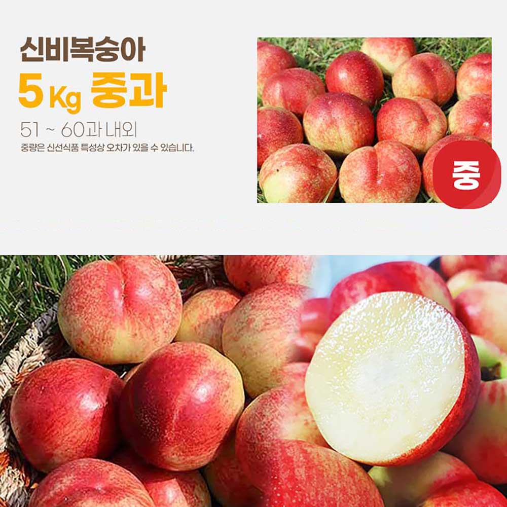 달옥농산 신비복숭아 [6월 14일 출고예정 예약판매] 5kg [신비5중과] (51-60) /개당 90g내외