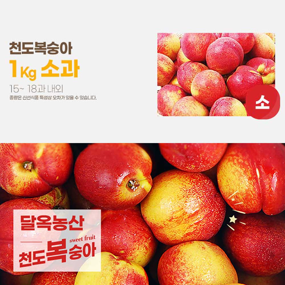 달옥농산 신선복숭아 1kg [천도1소과] (15-18) /개당55-70g