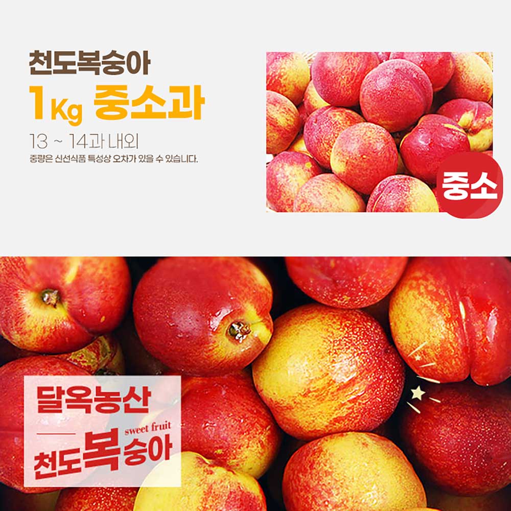 달옥농산 신선복숭아 1kg [천도1중소과] (13-14) /개당 75g내외