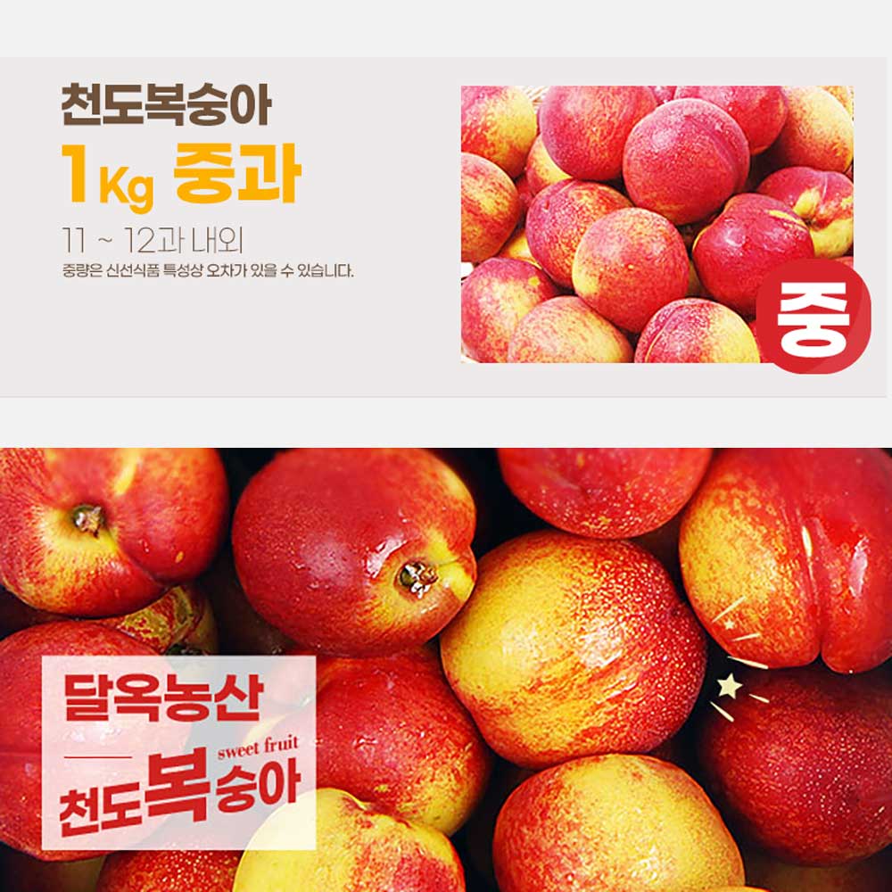 달옥농산 신선복숭아 1kg [천도1중과] (11-12) /개당 90g내외