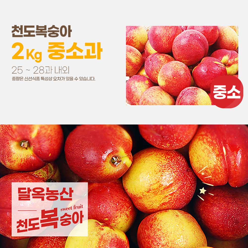 달옥농산 신선복숭아 2kg [천도2중소과] (25-28) /개당 75g내외