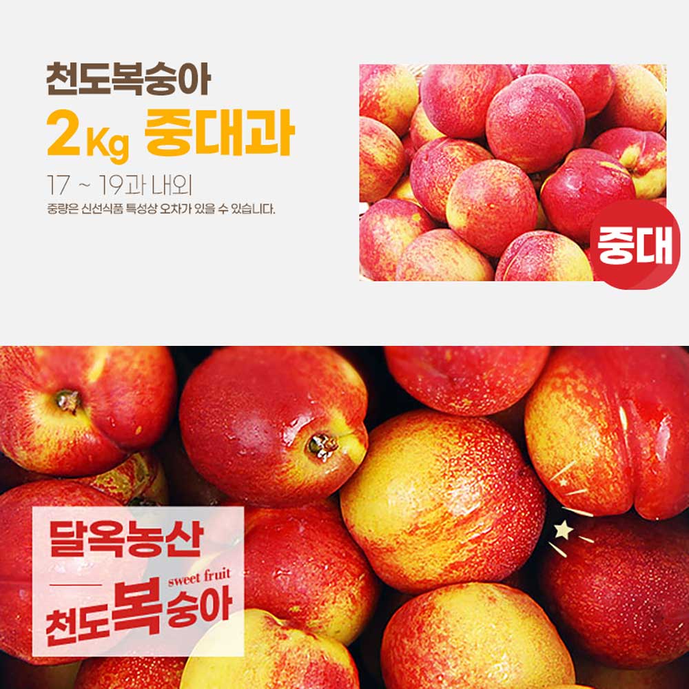 달옥농산 신선복숭아 2kg [천도2중대과] (17-19) /개당 110g내외