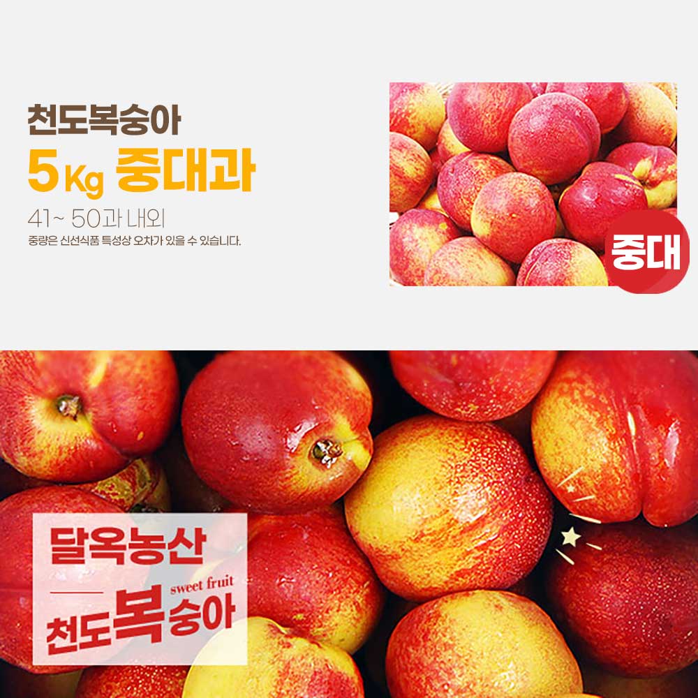 달옥농산 신선복숭아 5kg [천도5중대과] (41-50) /개당 110g내외