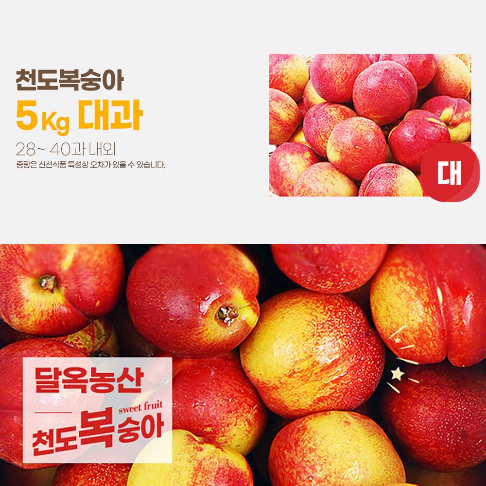 달옥농산 신선복숭아 5kg [천도5대과] (28-40) /개당 140g내외