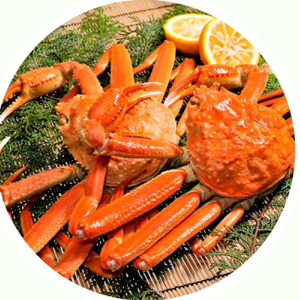 러시아 마가단 자숙 A급 대게 3kg (생물) 2-3미내외
