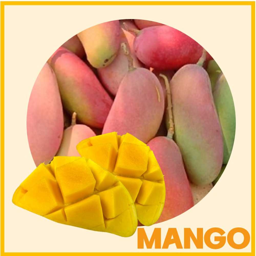 태국 마하차녹 무지개망고 4kg(8-12과)