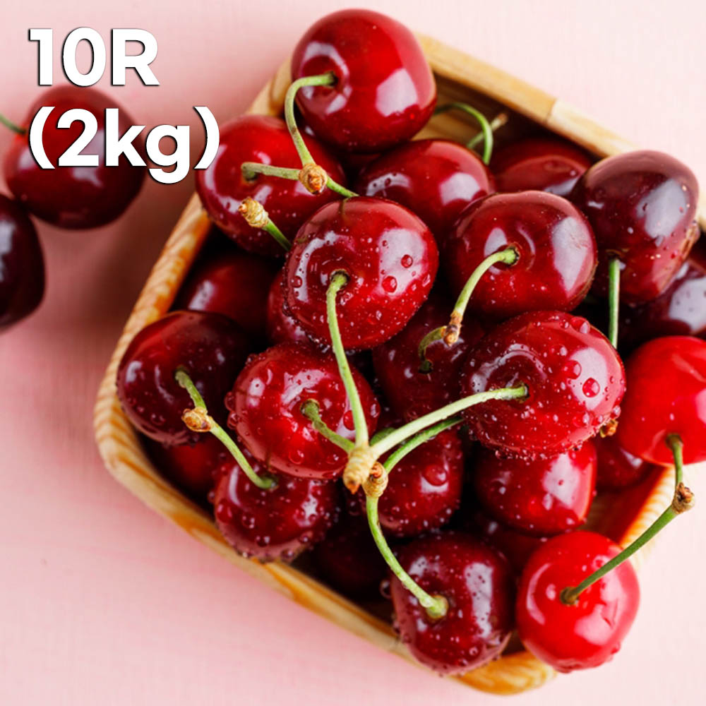 미국산 체리 10R 2kg