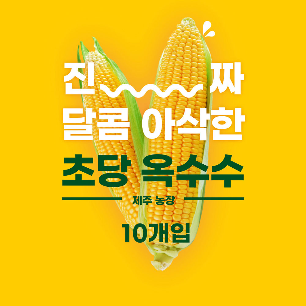 제주 초당 옥수수 10개입 (상품 15cm이상)/6월말 시즌종표