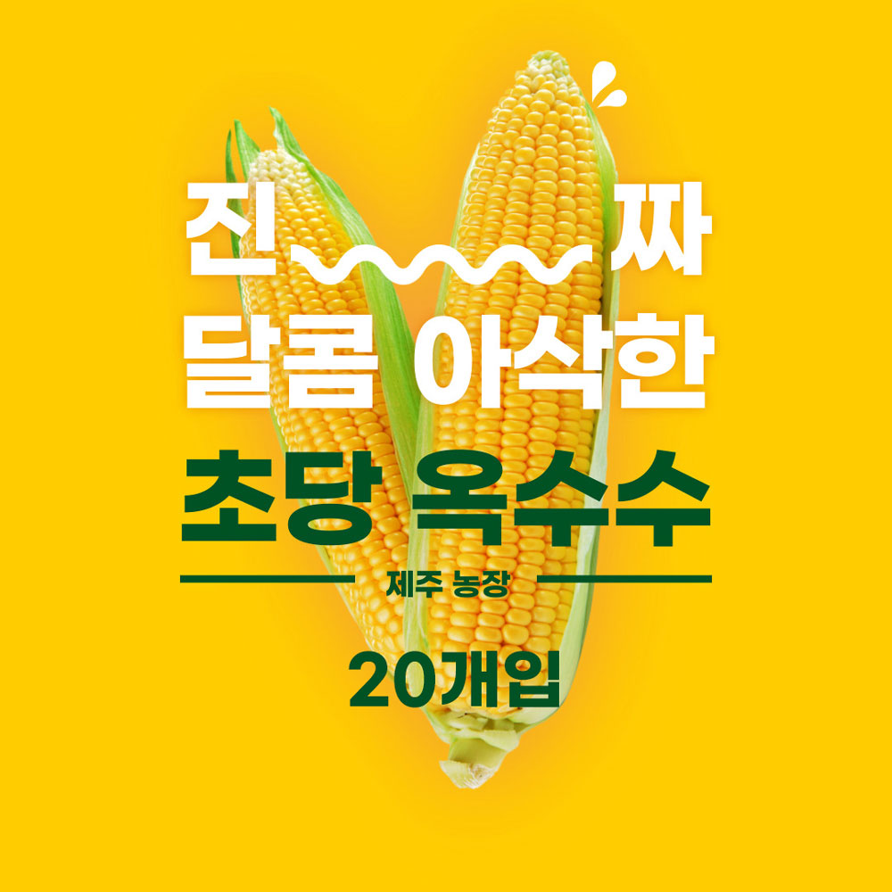 제주 초당 옥수수 20개입 (상품 15cm이상)/6월말 시즌종료