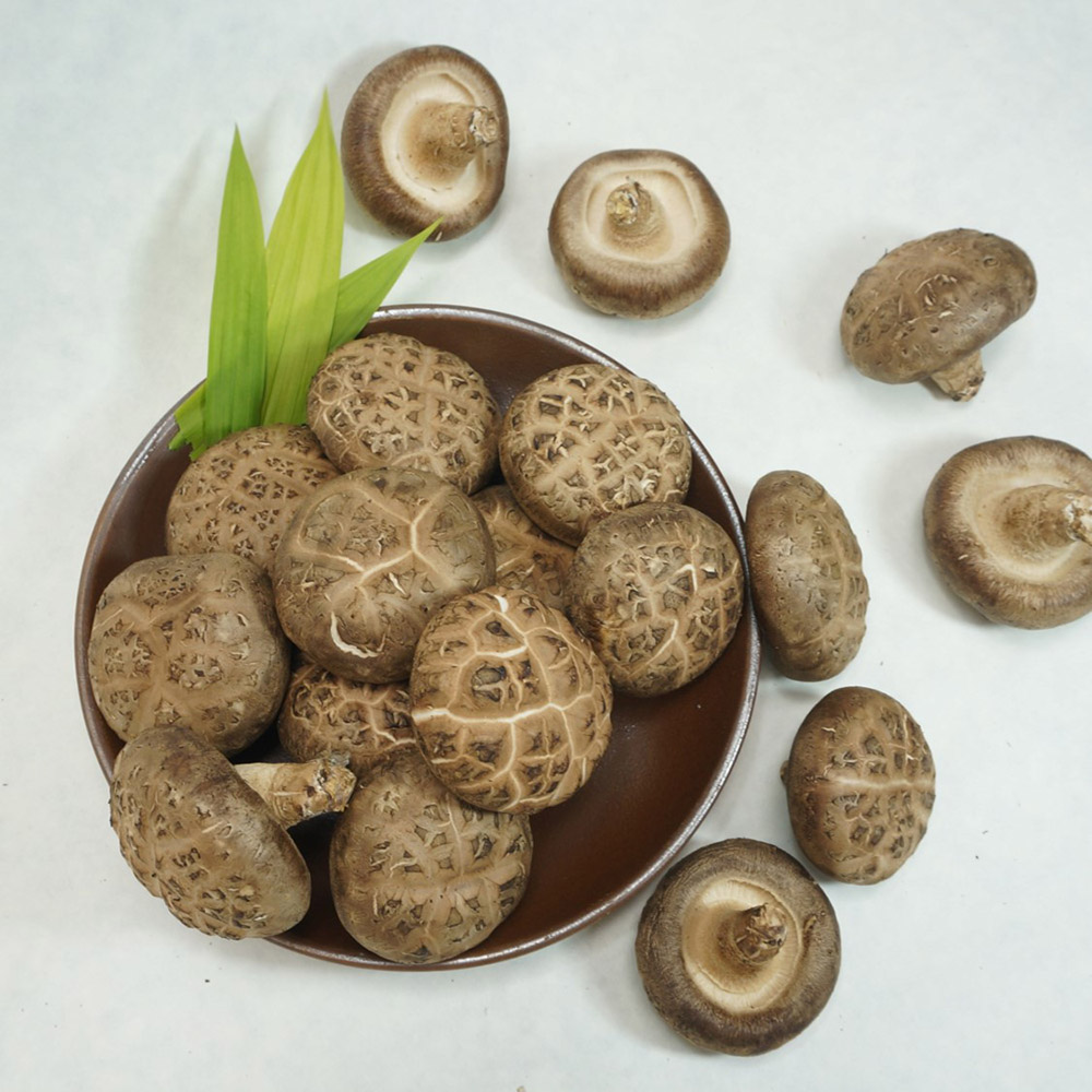 자연의향 쫄깃한 식감을 자랑하는 국내산 표고버섯 (상)4kg