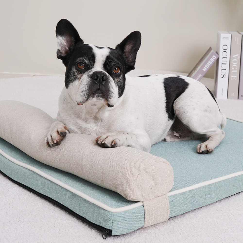 개과천선 3D 에어 오투스 강아지 방석 애견 침대 대형견/ 다크그레이(대형)