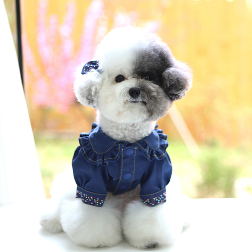 개과천선 레이스청자켓 강아지 하네스 옷 티셔츠 원피스/ 블루 XL