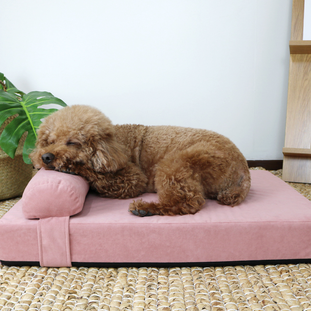 개과천선 독뱃 강아지 침대 방석 쿠션/ M
