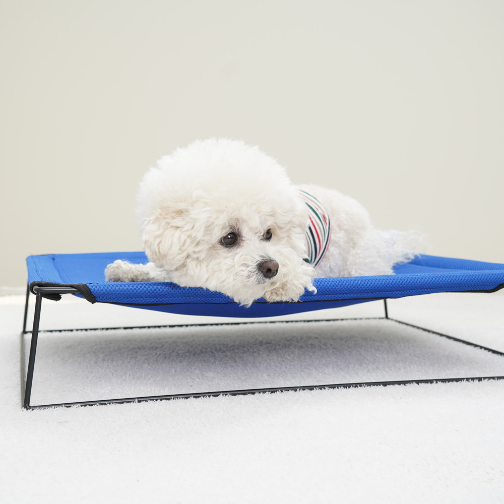 개과천선 시원한 비비드 강아지 해먹 애견 캠핑 의자 쇼파 야전 침대/ 블루그린 (특대형)