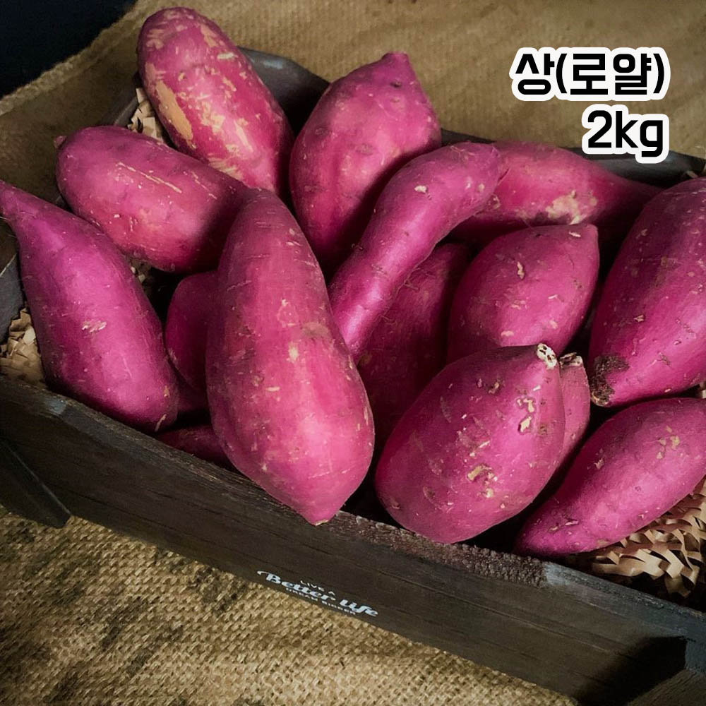 프리미엄 세척 꿀고구마 고구메스 시즌2 상(로얄) - 2kg (9~11개)