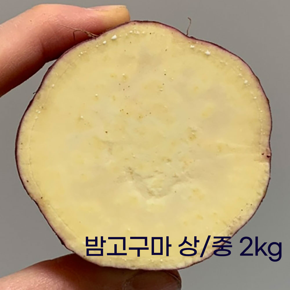 25호 퍽퍽한 햇 스콘 밤고구마 상/중 2kg