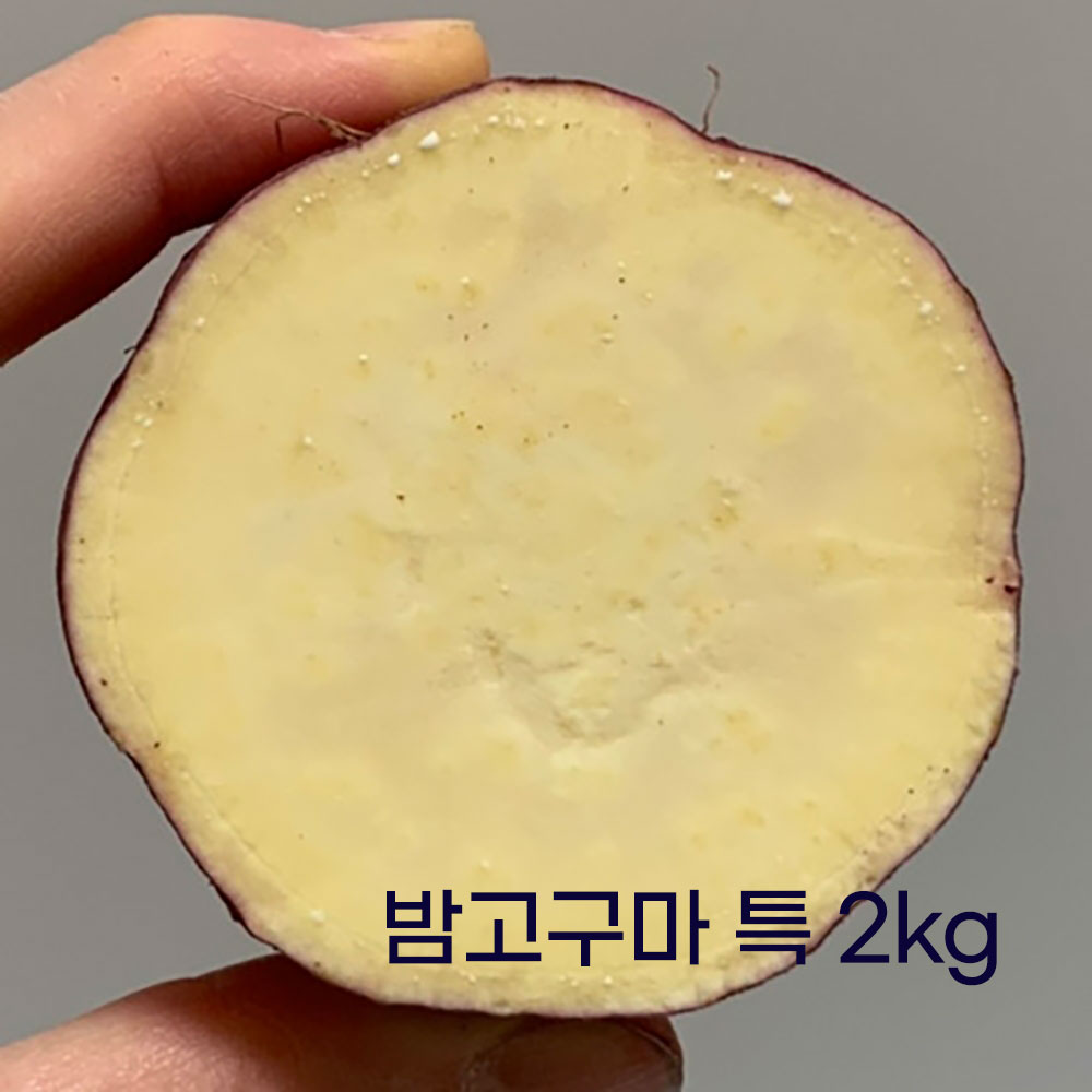 25호 퍽퍽한 햇 스콘 밤고구마 특 2kg