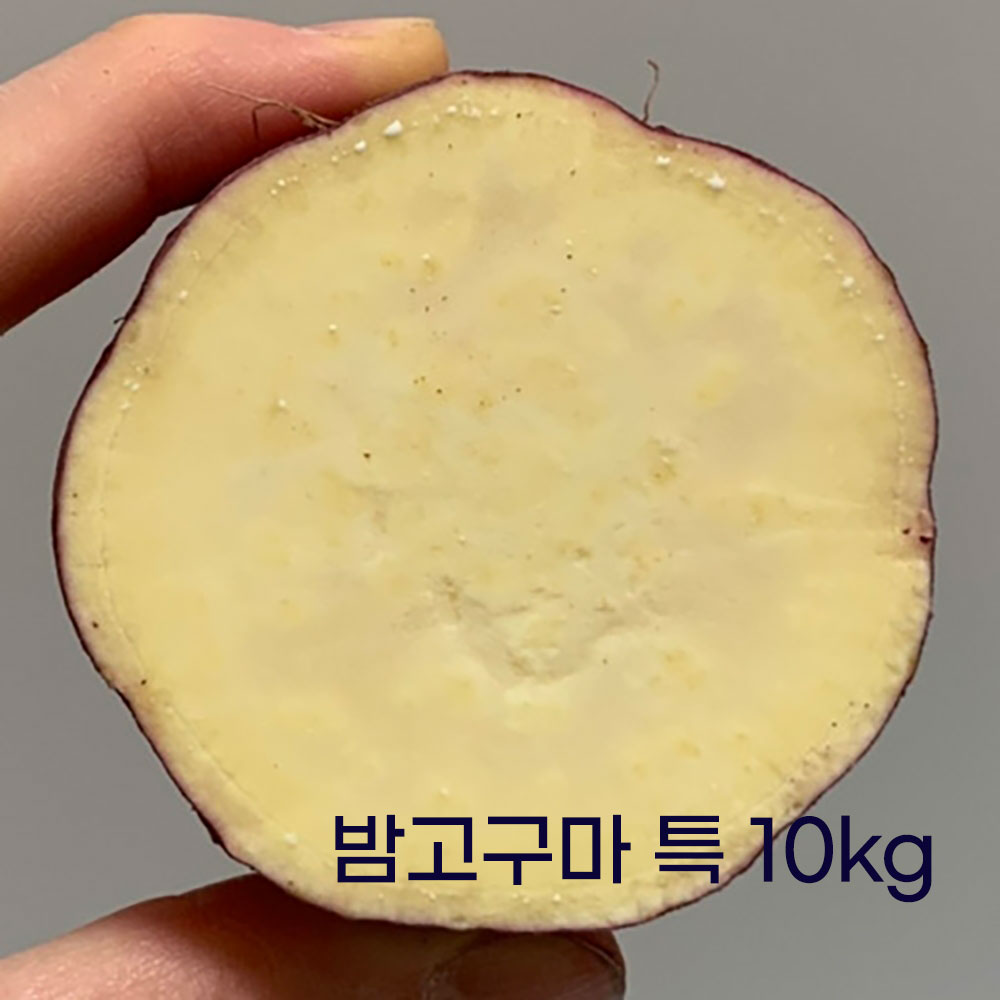 25호 퍽퍽한 햇 스콘 밤고구마 특 10kg