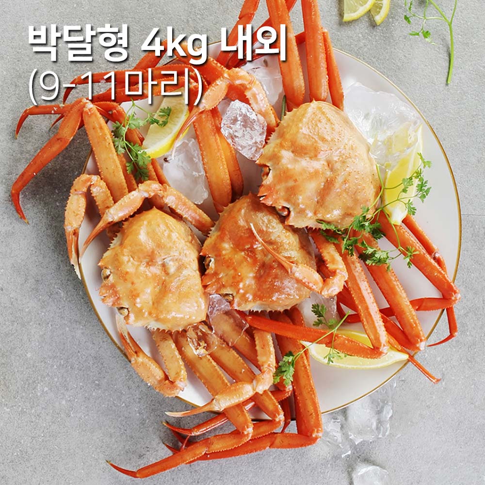 [기간한정특가]엄지농수산 박달형 연지홍게 4kg 내외 (9-11마리)