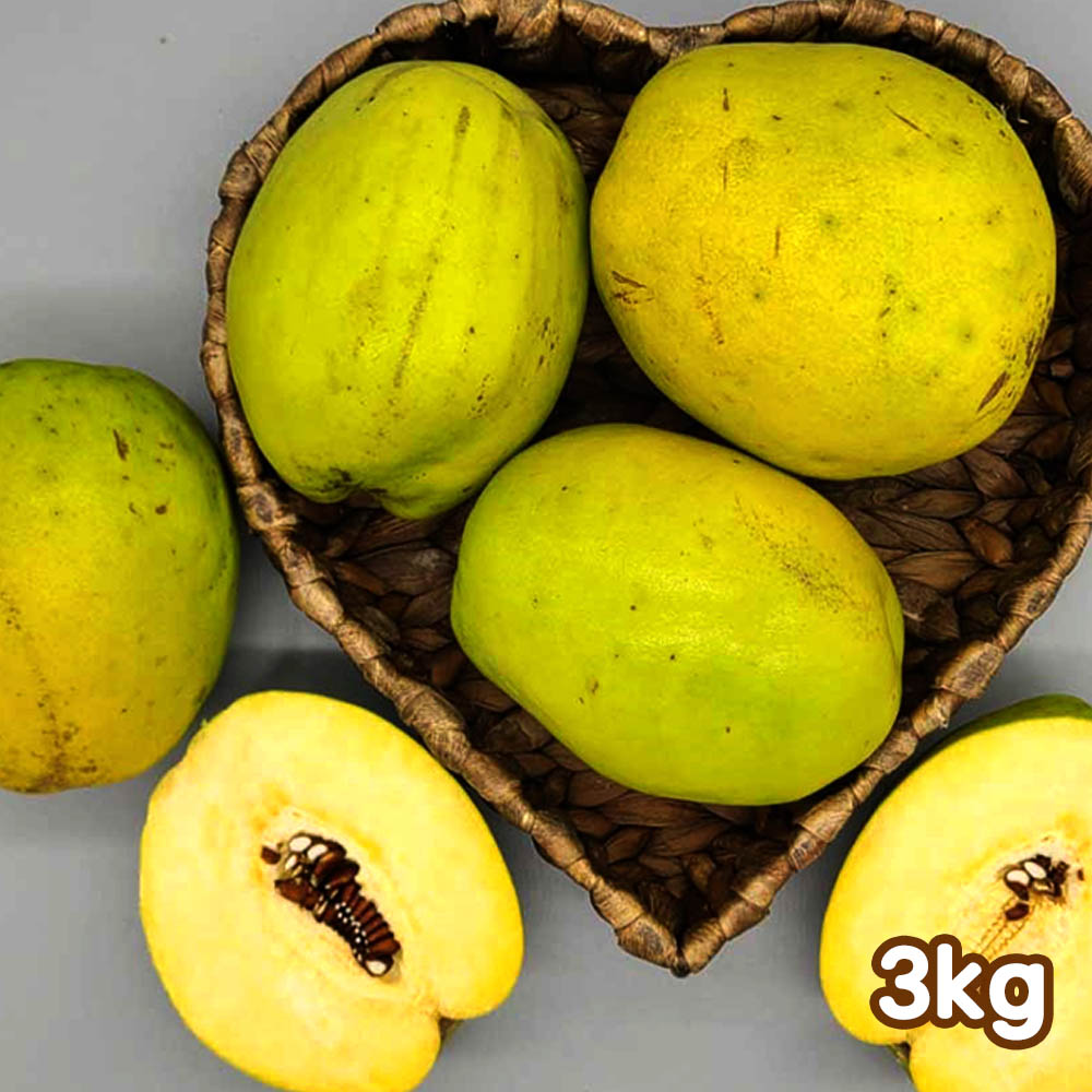 국산 햇 생모과 3kg(정품 5~12개)