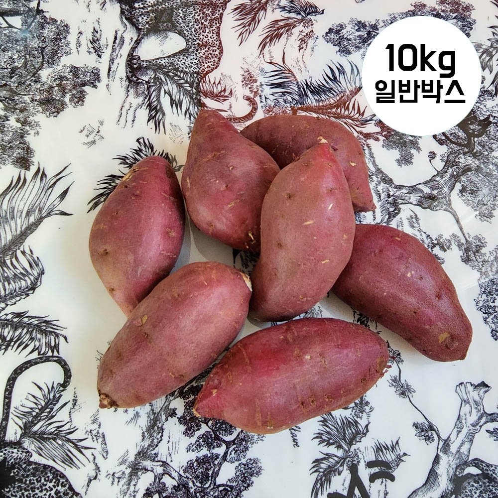 프리미엄 세척 꿀고구마 고구메스 시즌2 성(로얄)-10kg(40~54개)/일반박스