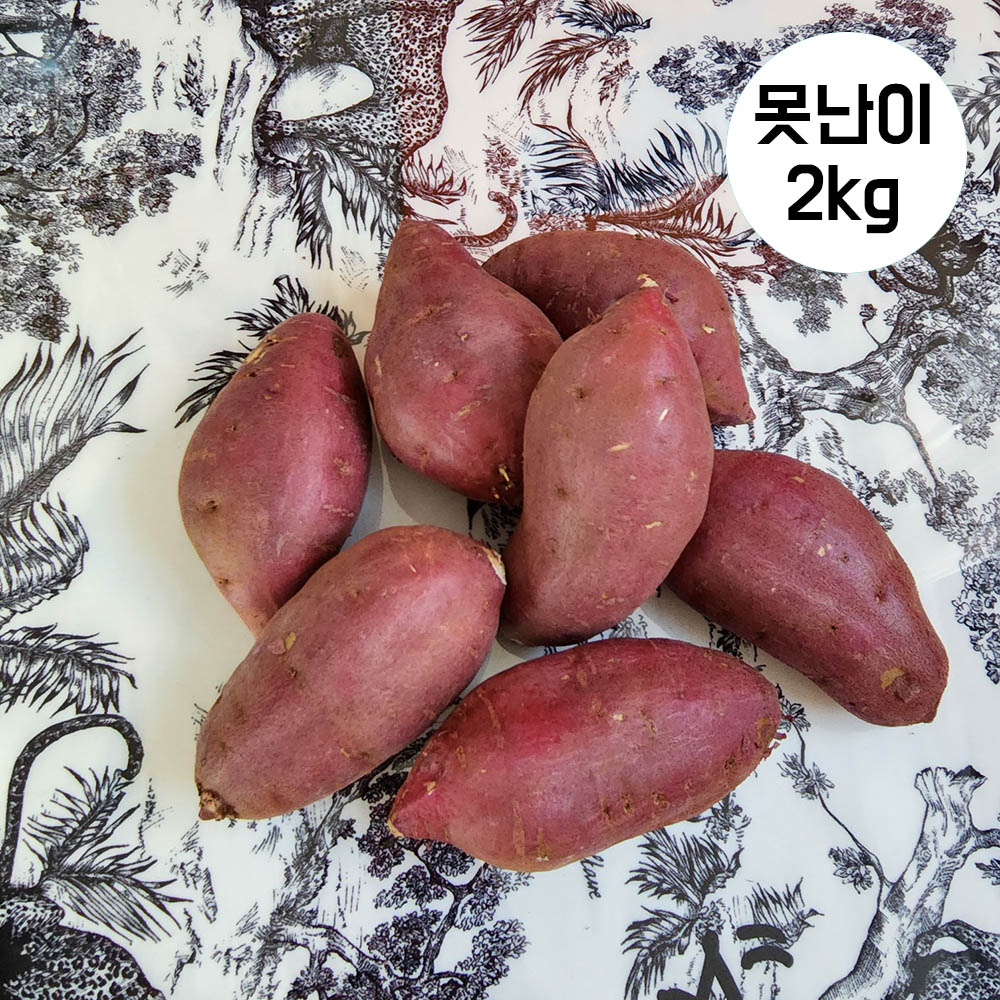 프리미엄 세척 꿀고구마 고구메스 시즌2 못난이(당도동일) 2kg(9~11개)