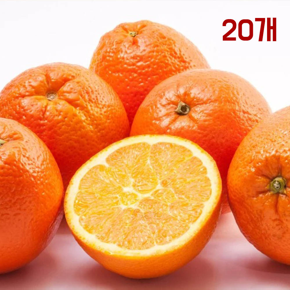 네이블 오렌지 20개(중과 개당 중량 200g 내외)