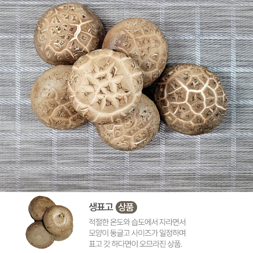 픽뎃 자연의향 쫄깃한 식감을 자랑하는 국내산 생표고버섯 (상) 1kg