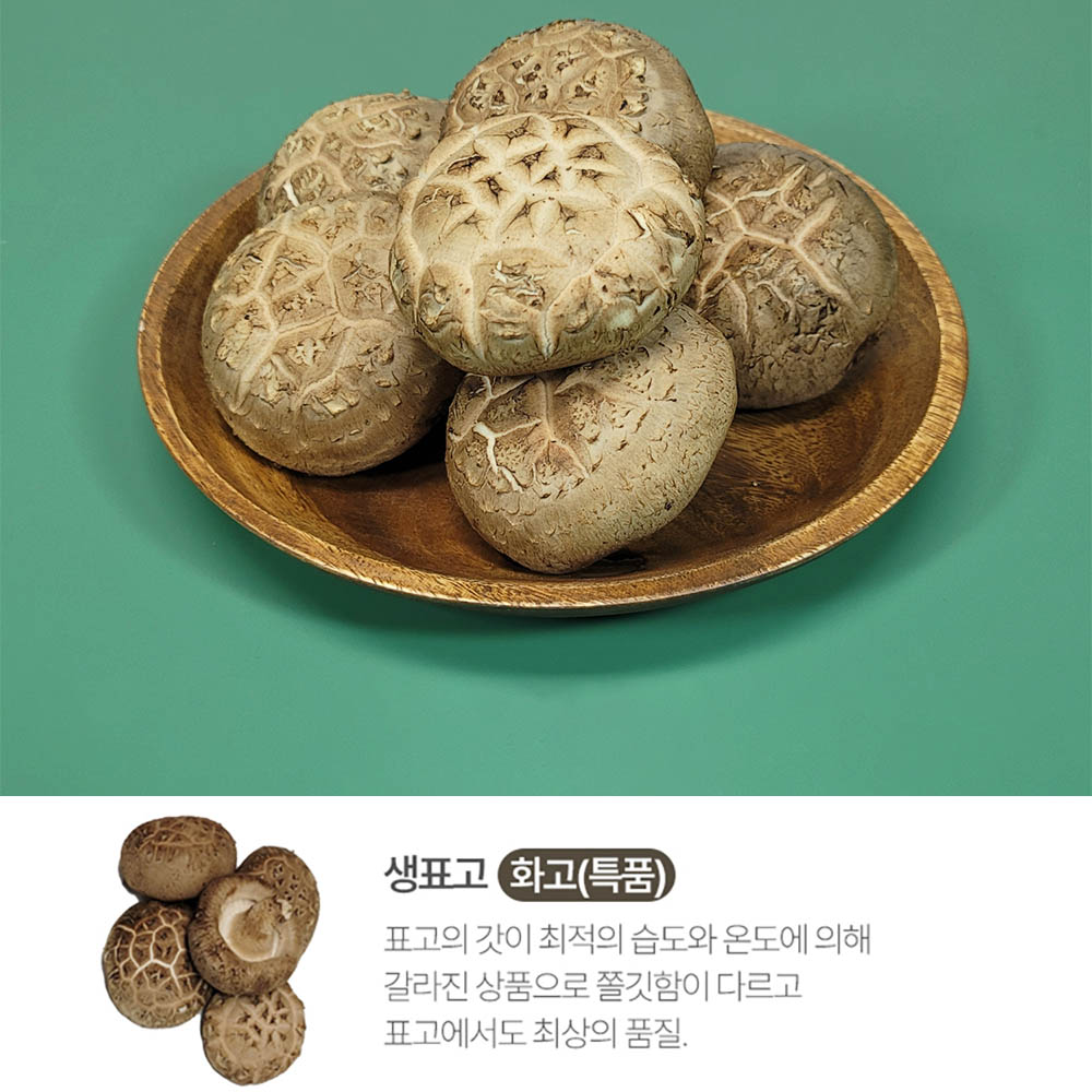 픽뎃 자연의향 쫄깃한 식감을 자랑하는 국내산 생표고버섯 (화고) 1kg