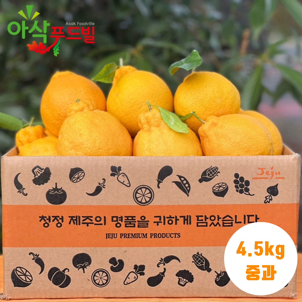아삭푸드빌 한라봉 가정용 4.5kg (18-23과 내외)