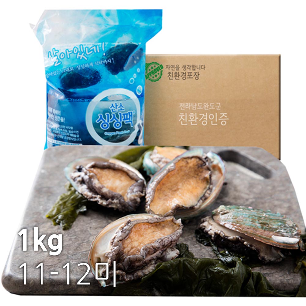 [친환경포장]완도활전복 명절6호 1kg(11-12미)