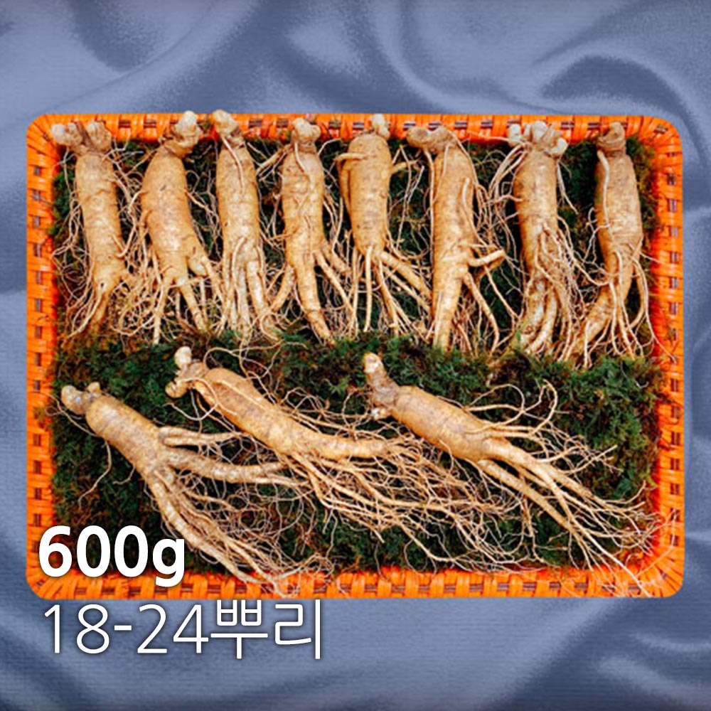 [풍기인삼]6년근수삼1호 600g(18~24뿌리)