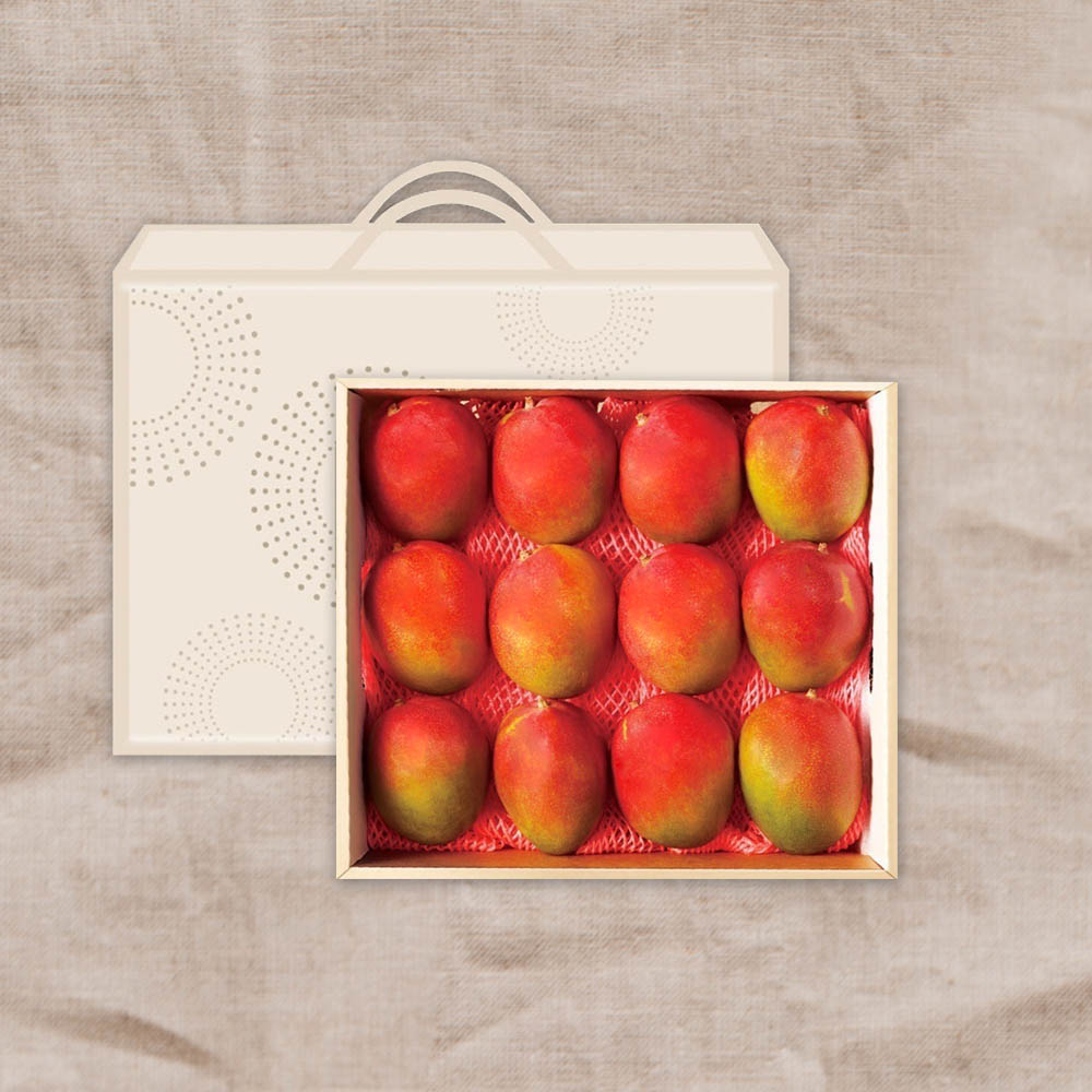 [기품맛담] 애플망고 12과 선물세트 4.8kg