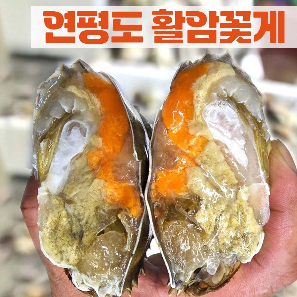 연평도 활꽃게 알가득 암꽃게 대 2kg(4-6 미)