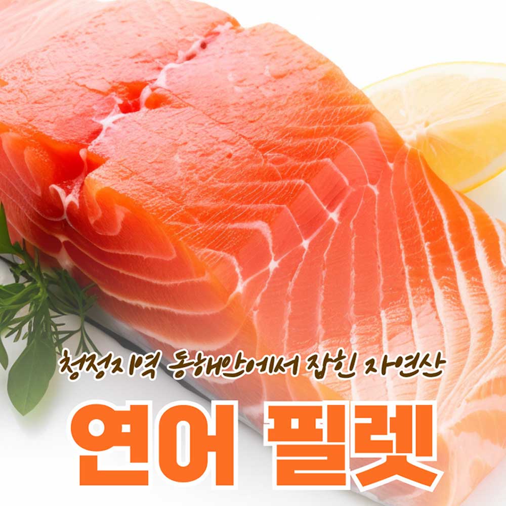 자연산 동해안 연어 필렛 500g