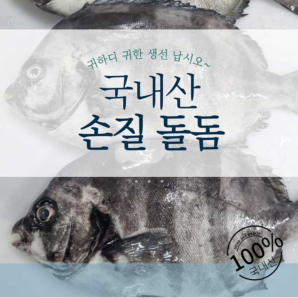 국내산 손질 돌돔 (800g이상, 중4미) / 원물1kg