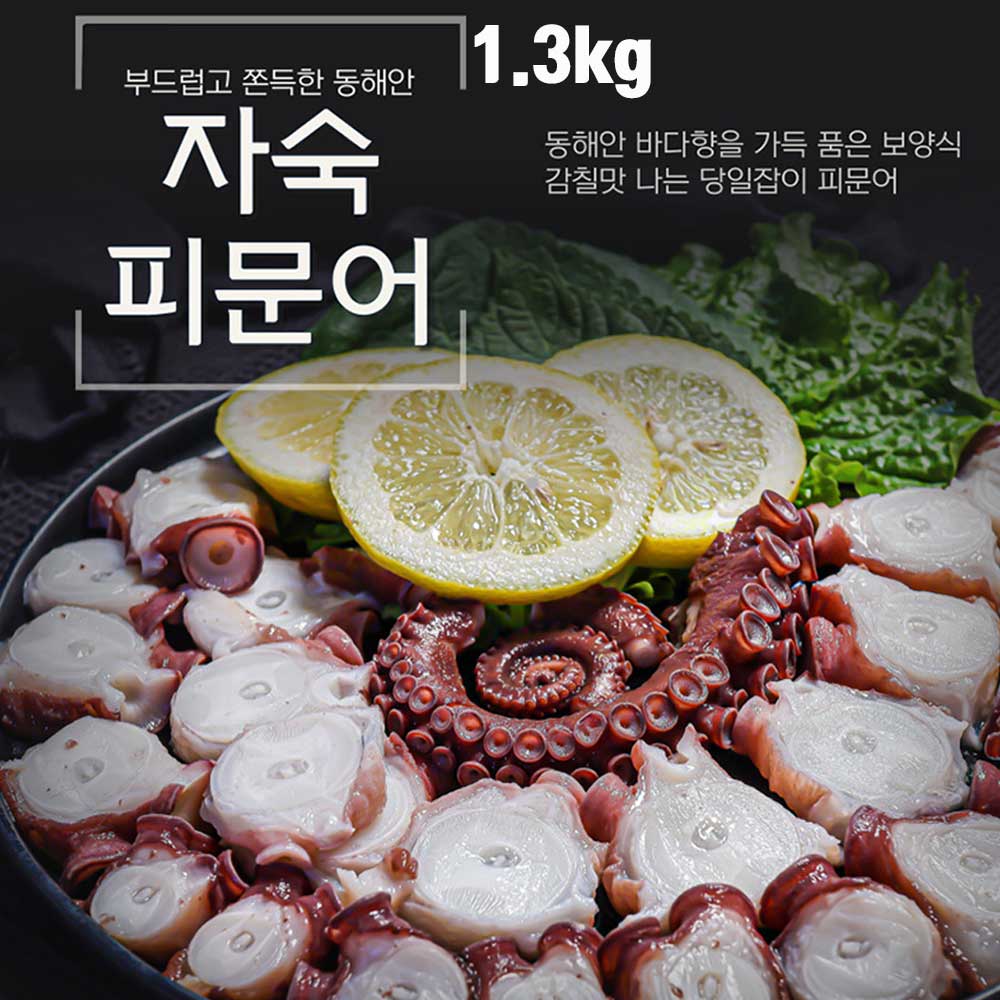 동해안 자숙 피문어 (참문어) 1.3kg / 자숙후 750g~900g내외