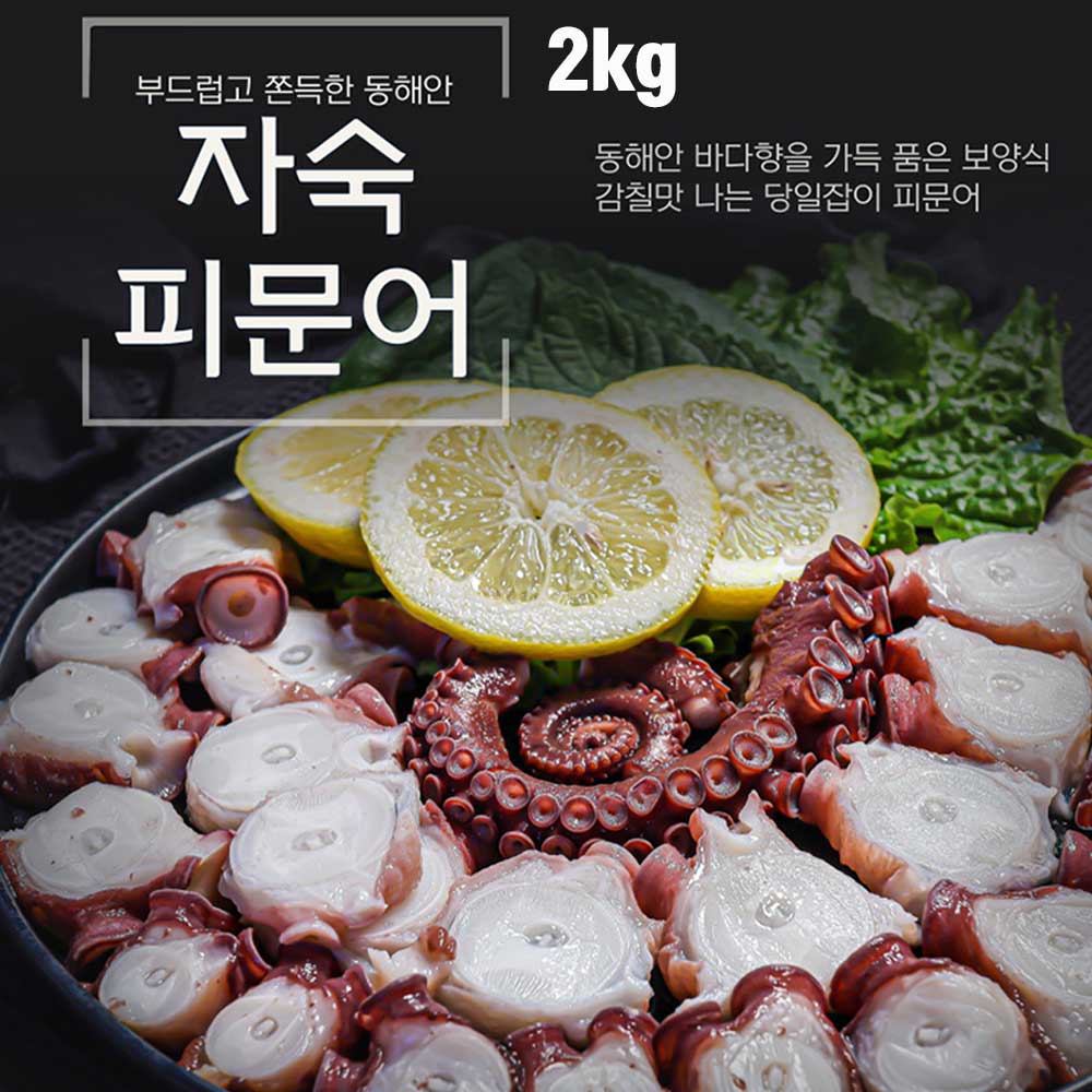 동해안 자숙 피문어 (참문어) 2kg / 자숙후 1.2kg~1.4kg내외