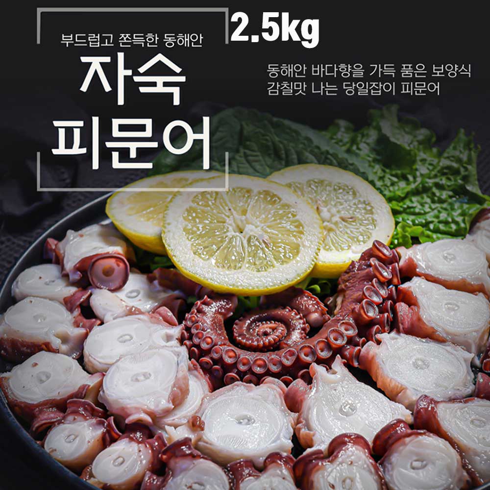 동해안 자숙 피문어 (참문어) 2.5kg / 자숙후 1.5kg~1.8kg내외